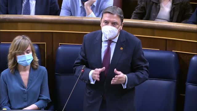 Planas asegura que el Gobierno está tomando todas las medidas a su alcance garantizar el abastecimiento