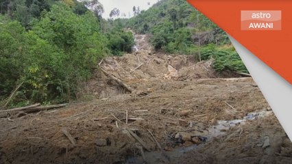 PEKA Bimbang | Hutan negara di tahap kritikal