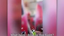Antalya uçağında ortalık karıştı! Çocuğun ağlamasına sinirlendi yolculara tokat attı