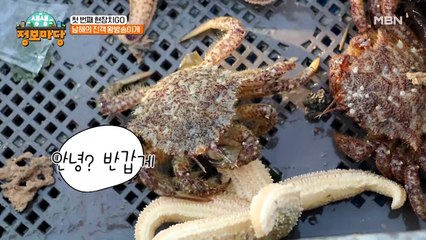 날이면 날마다 오는'게' 아니다! 작지만 알찬 이것의 정체는?