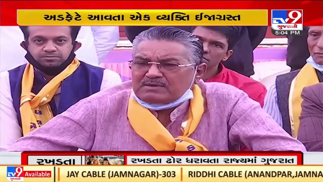 Stray cattle destroying crops, killing people in Gujarat, admits Gujarat Animal Husbandry Minister