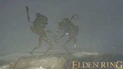 Tour de l'Albinaurique Elden Ring : Solution de l'énigme des gargouilles