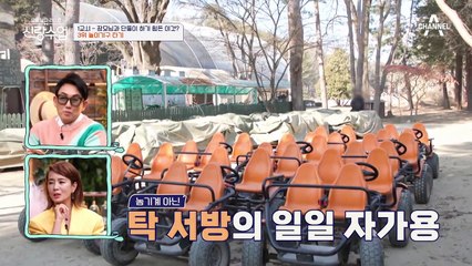 영탁의 수난시대(ㅠ_ㅠ) 장모님 앞에서 부실한 하체 힘 들통난 사연.mov