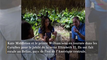 Kate Middleton au milieu des requins avec palmes et bouteille à oxygène