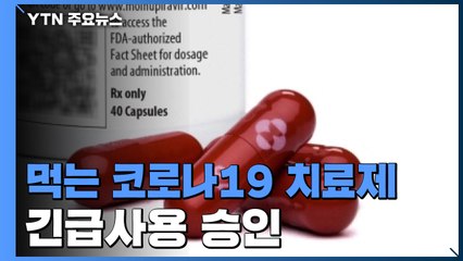 머크사 라게브리오 긴급 사용 승인...임신부·18세 미만은 제외 / YTN
