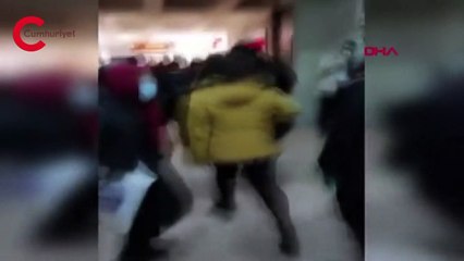 Evinin çatısına çıkan 2 köpeği öldüren şüpheli tutuklandı