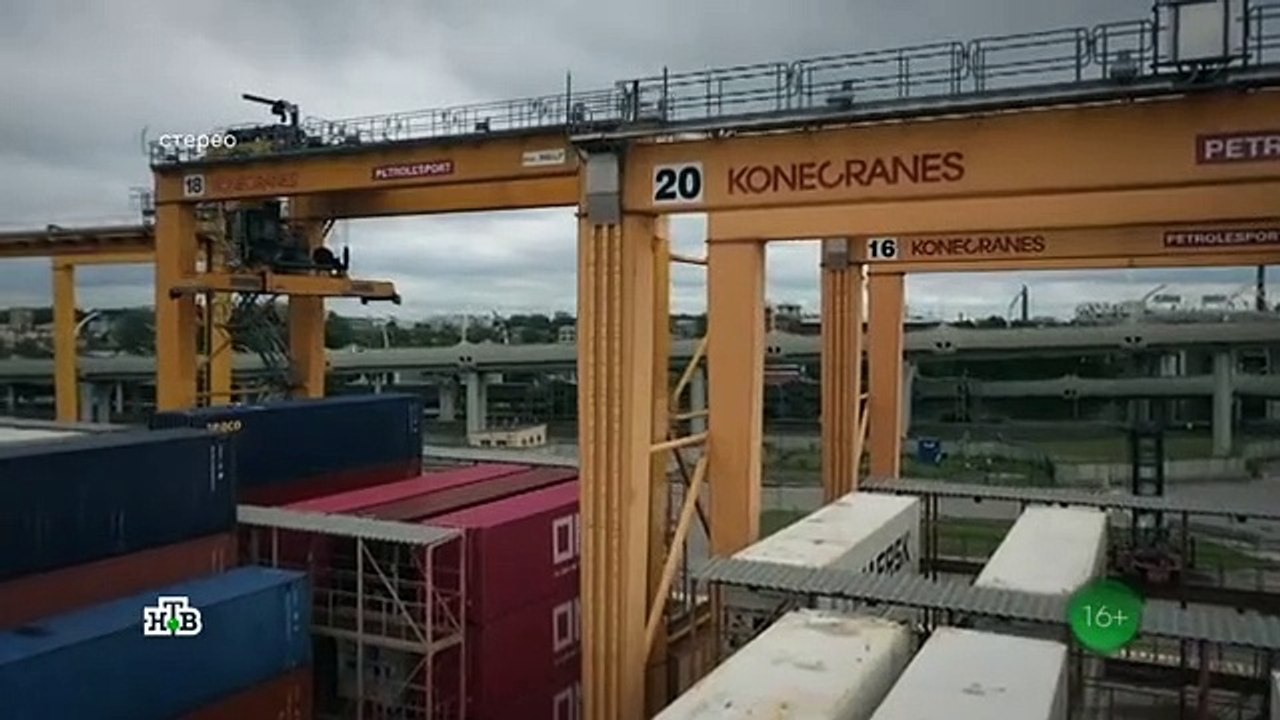 Порт 9 серия (2022)