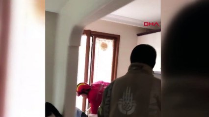 Avcılar'ı yarasalar bastı: İtfaiye evlere girip çıkardı