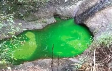 Check out the colour of this creek in Charlestown