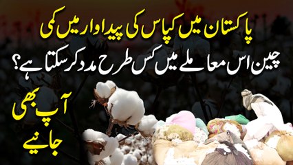 Pakistan mein kappaas ki pedawar mein kammi, China iss mamlay mein kis trah maddad kar sakta hai? Aap bhi janiye