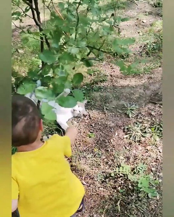 Efkan & Cat Funny Fight ❤️