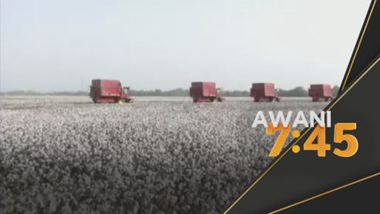 Pertanian | China nafi guna buruh paksa petik kapas