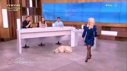 Ελένη: Περπατάς και τρίζουν τα πατώματα - Απίστευτο στιγμιότυπο on air