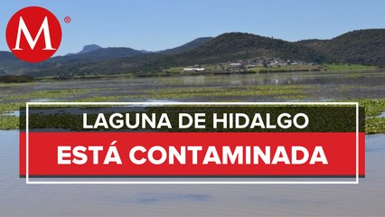 Laguna de Tecomulco, Hidalgo, está gravemente contaminada