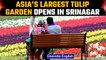 Asia’s largest Tulip garden opened for public in Kashmir’s Srinagar | Oneindia News