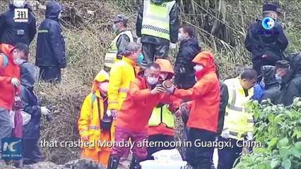 Crashed plane's black box recovered