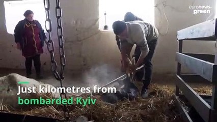 'We must feed our soldiers and our Ukrainian nation,' say farmers who are working despite war