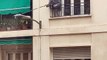 Woman Scrubs Lamppost from Her Apartment Window