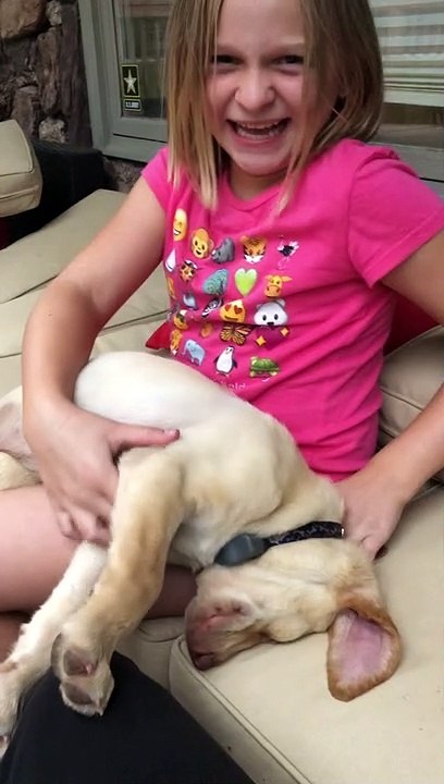 Precious Pupper Sleeps Soundly