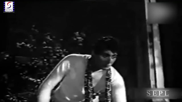 Baagon Mein Khilte - Suhaag Sindoor 1961 _ Lata Mangeshkar, Talat Mahmood.