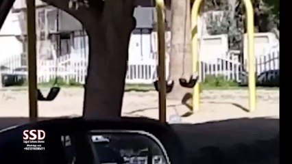 SSD 571 | Who is using this swing at day time in Taif, Saudia Arab. | Haunted Park | ssd 571 with English Subtitle