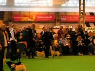 CRUFTS - Max Jugement