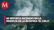 En Tamaulipas, incendio consume 40 hectáreas en Reserva de la Biósfera 'El Cielo'