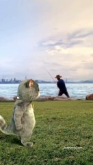 New sad status  Trending status  || Cartoon status sad  All in one status 