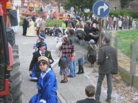 Les vis d'hamptia carnaval de Hélécine 2008