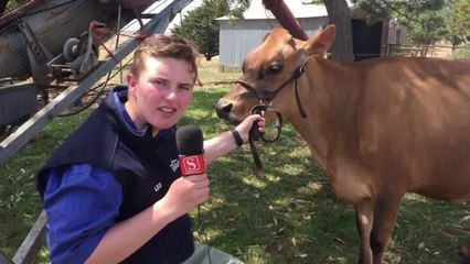 Warrnambool Standard - Leo McGrath jersey showing tips