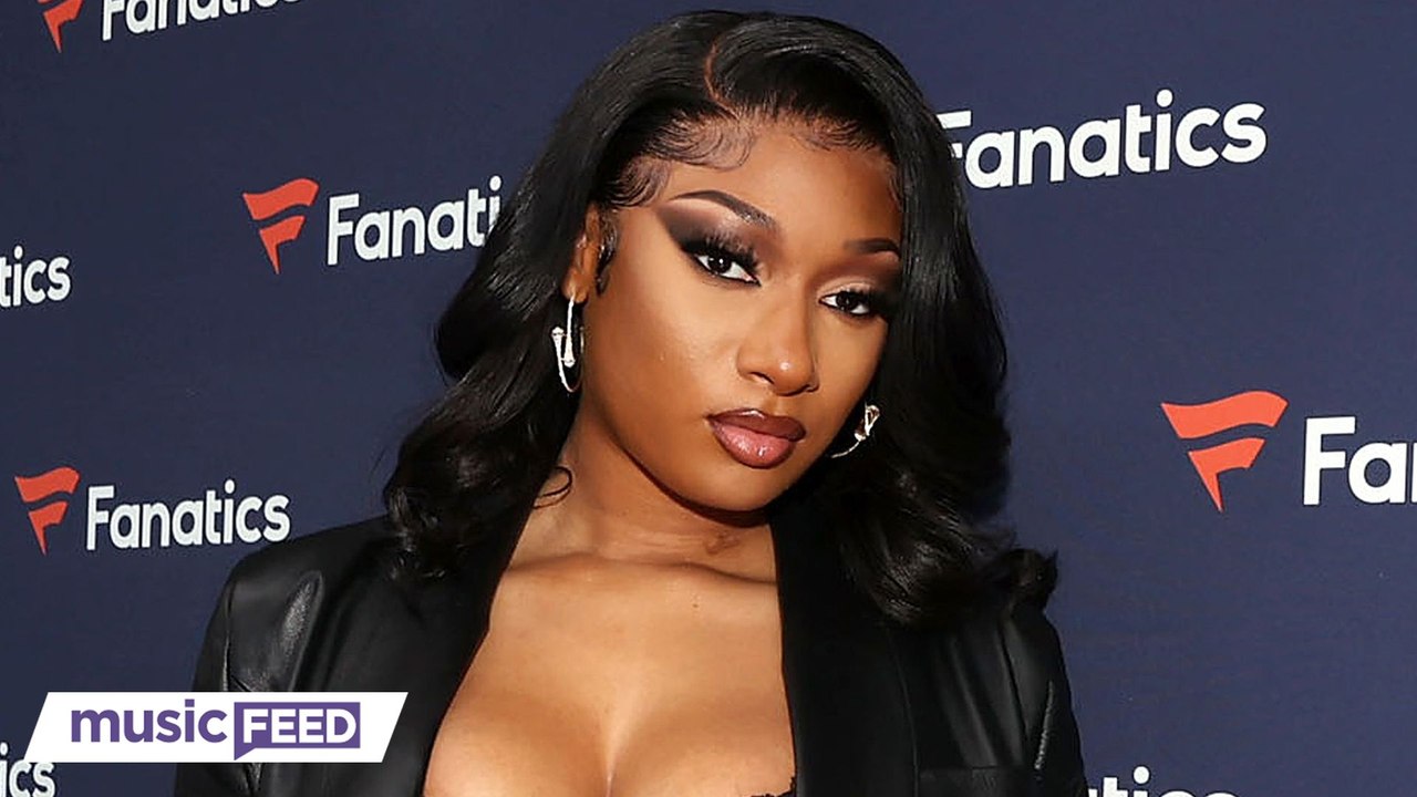 Megan Thee Stallion Shuts Down A Hater Who Wants Her To Show Us The Bullet Wound?!