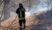 Luvinate (VA) - Incendio boschivo in località Il Poggio (23.03.22)