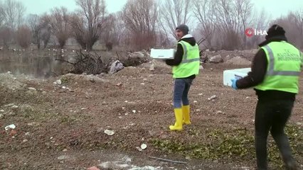 Göç yolundaki leyleklere yem bırakıldı