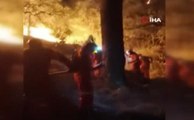 Son dakika haberleri: Meksika'da uyuşturucu bağımlısı ormanlık alanı ateşe verdi