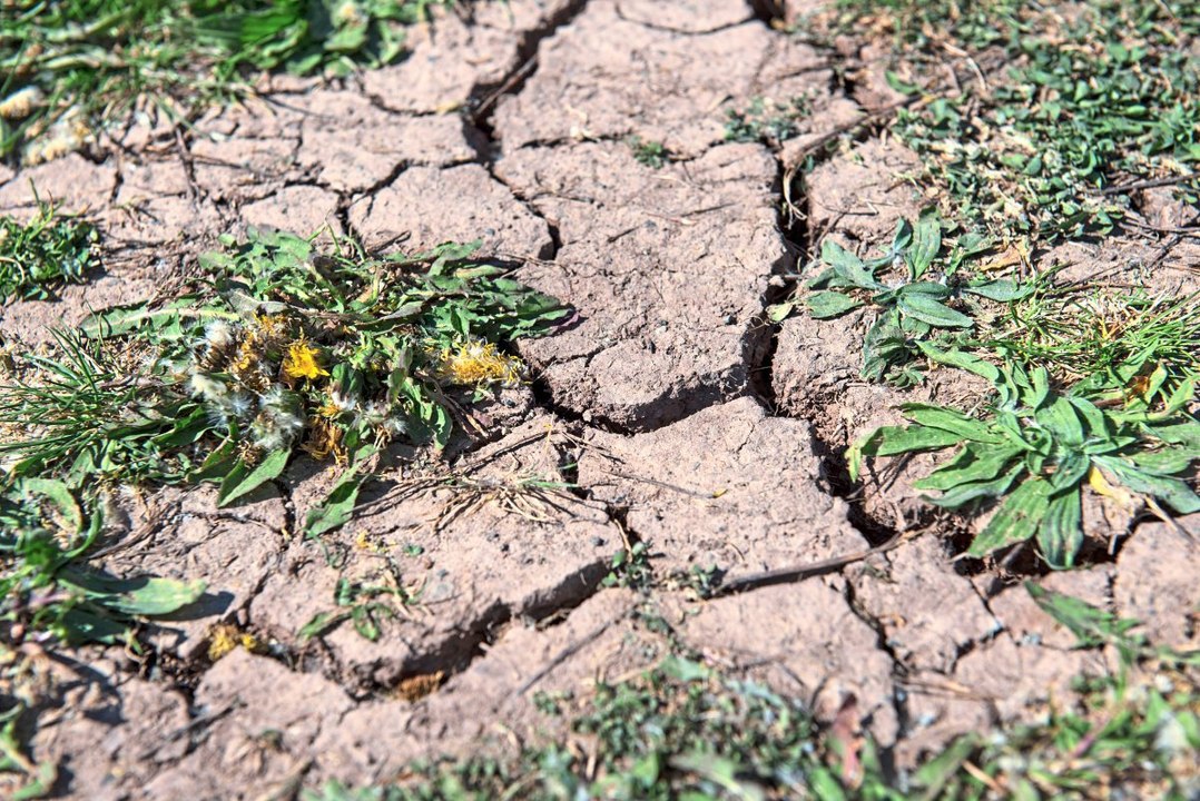 Dürre in Österreich: Warum es gerade so trocken ist