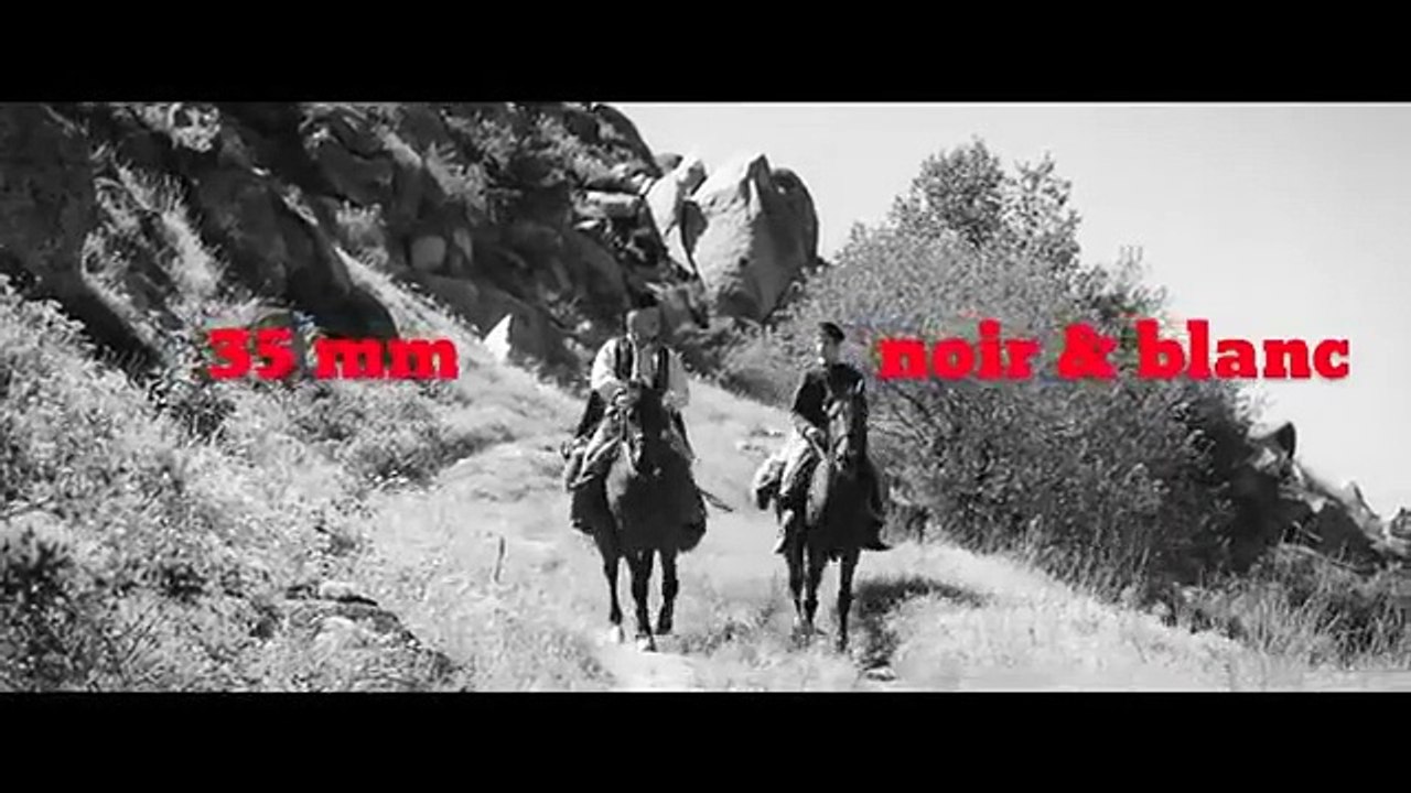 Aferim ! - VOST