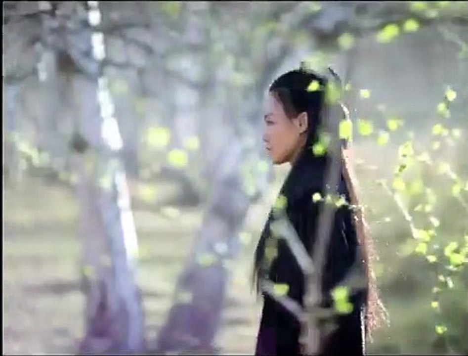 The Assassin - Teaser VO