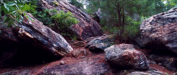 A Walk in the Woods - Extrait VO