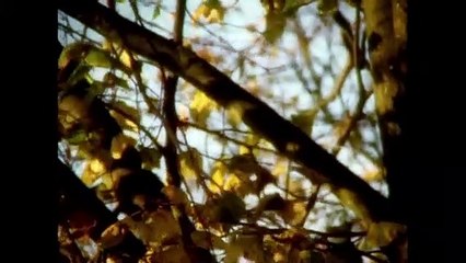 Steve Jobs : Man in the Machine - Extrait (2) VO