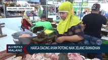 Jelang Ramadan Harga Daging Ayam Potong Naik, Pedagang Sepi Pembeli