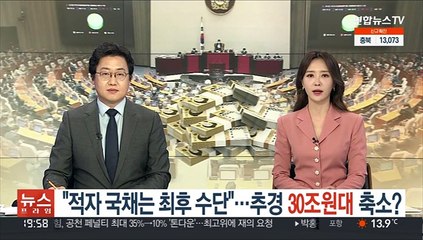 "적자 국채는 최후 수단"…추경 30조원대 축소?