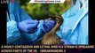 A highly contagious and lethal bird flu strain is spreading across parts of the US - 1breakingnews.c