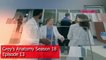 Greys Anatomy Season 18 Episode 13 Promo (2022) _ Preview, ABC TV, 18x09 Trailer, Season 19, Ending