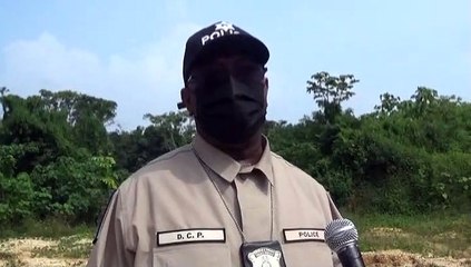 A Merger Of Criminal Gangs Says Hinds
