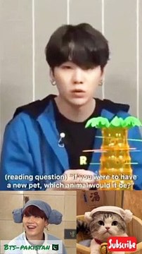 Suga wants A Cat As A Pet #lilmeowmeow #suga #minyoongi #yoongi #btspakistan