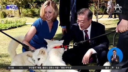 [핫플]김정은이 선물한 풍산개…文 퇴임 후에는 어디로?