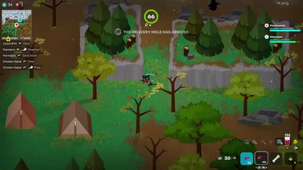 A Win for Vextunnel Super Animal Royale #1