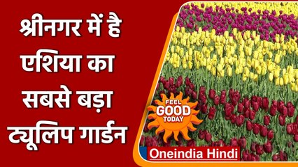 Srinagar: Asia का सबसे बड़ा Tulip Garden पर्यटकों के लिए खोला गया | वनइंडिया हिंदी