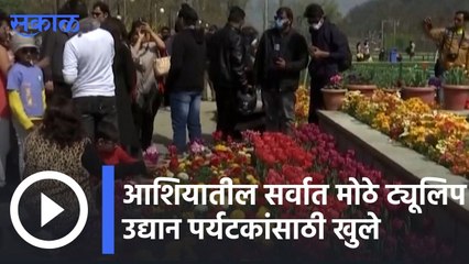Shrinager | आशियातील सर्वात मोठे ट्यूलिप उद्यान पर्यटकांसाठी खुले | Sakal |