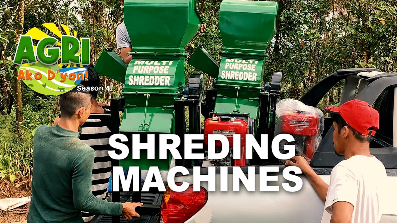 Shredders